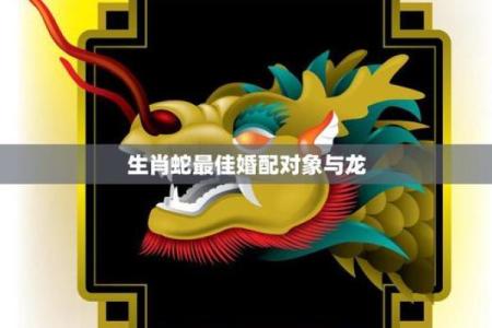 生肖鸡与蛇的缘分探究：天作之合还是相克之局