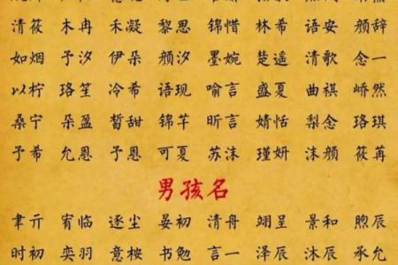 曾姓猴年宝宝名字推荐：赋予孩子一生好运的名字