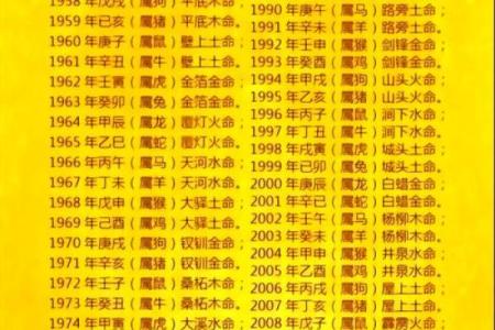 八字子女星怎么看？解密影响孩子命运的关键因素