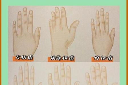手指的名字解析：为什么我们的手指有这些名字