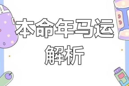 属马人本命年如何收获人生的丰盈