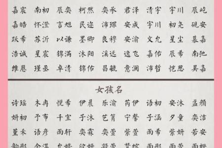 免费宝宝起名网站，你的命名专家
