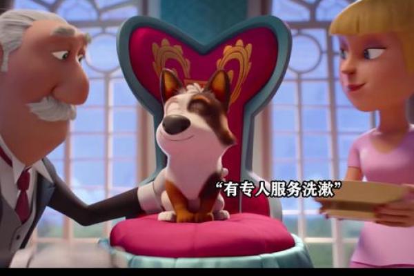 马与狗的默契:这对组合如何相互支持与成长 马与狗的默契:这对组合如何相互支持与成长