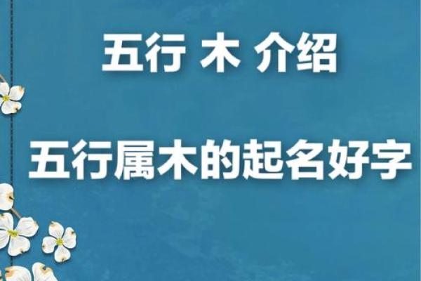 五行属木的十一画汉字有哪些?一文带你了解 五行属木的十一画汉字有哪些?一文带你了解