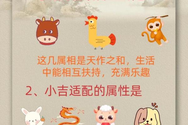 属蛇人在的运势变化及应对策略 属蛇人在的运势变化及应对策略