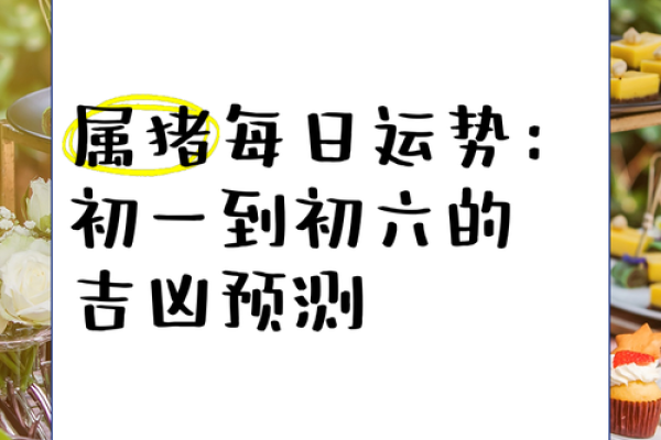 与出生的猪年运程详解 与出生的猪年运程详解