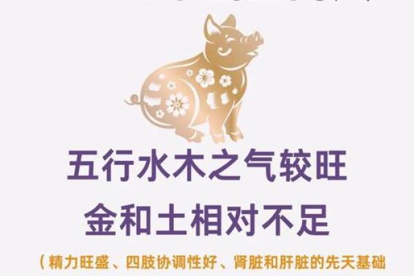 与出生的猪年运程详解 与出生的猪年运程详解