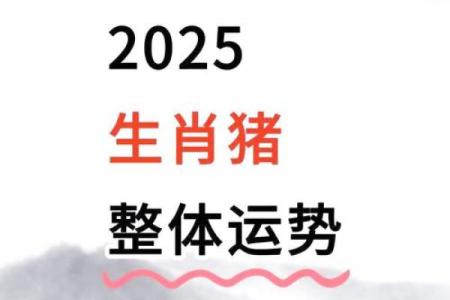 属猪男和属牛女的性格匹配度解读