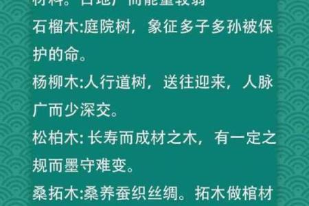 木命人五行缺失的关键因素及其影响解析