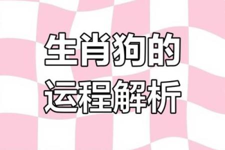 狗年运程预测：的幸运与挑战