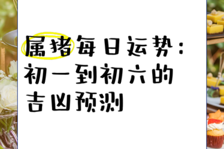 与出生的猪年运程详解