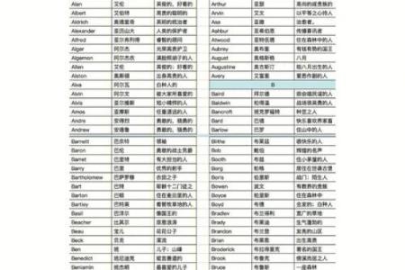 如何为男孩挑选一个优雅的法语名字