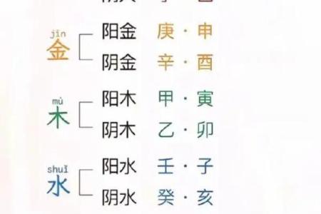 如何通过挂字五行来提升你的运势和健康