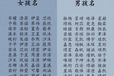 如何为游戏中的宝宝选择一个独特又有意义的名字