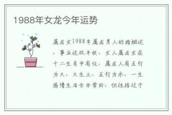属龙运程指南:从爱情到事业的运势透视 属龙运程指南:从爱情到事业的运势透视
