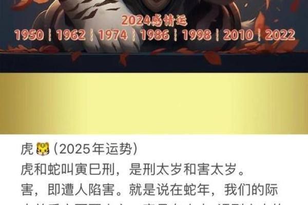 属虎人一生运程的转折点:重要年份与关键决策 属虎人一生运程的转折点:重要年份与关键决策