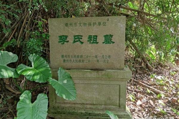 明星风水布局:成功背后的细节与智慧 明星风水布局:成功背后的细节与智慧