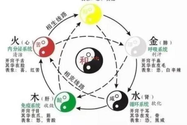 淑雅五行揭秘:如何通过五行调理提升个人气质和魅力 淑雅五行揭秘:如何通过五行调理提升个人气质和魅力