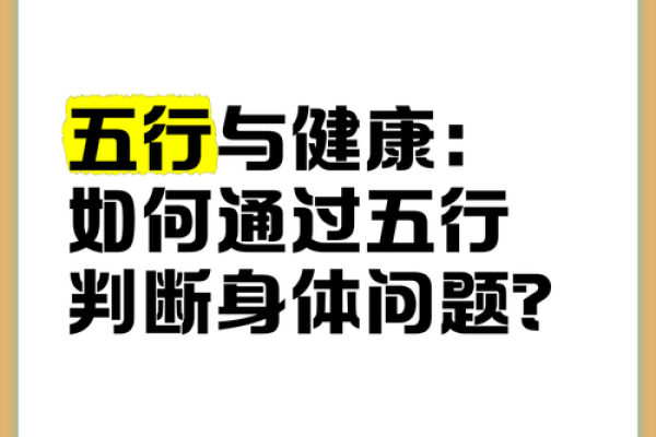 淑雅五行揭秘:如何通过五行调理提升个人气质和魅力 淑雅五行揭秘:如何通过五行调理提升个人气质和魅力