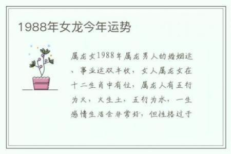 属龙运程指南：从爱情到事业的运势透视