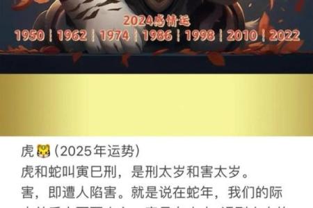 属虎人一生运程的转折点：重要年份与关键决策
