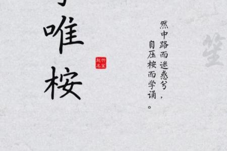 李姓男宝宝取名的最佳选择与建议