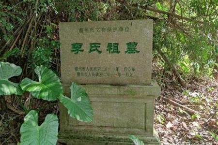明星风水布局：成功背后的细节与智慧