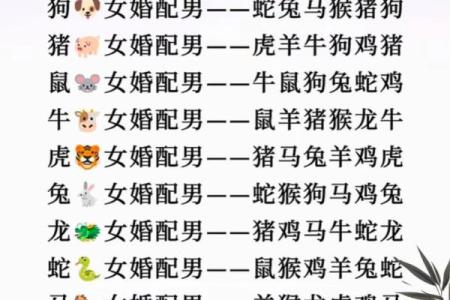 女属鸡男属蛇的婚配分析与情感契合度探讨
