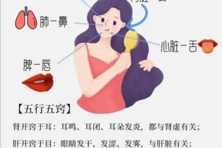 五行变化：如何根据五行改善健康和财运