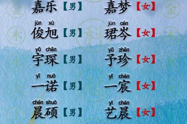姓杨的鸡宝宝名字大全:寓意与选名灵感 姓杨的鸡宝宝名字大全:寓意与选名灵感