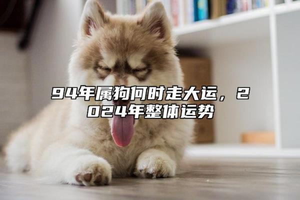 男属狗女属狗,婚姻生活中的优势与挑战 男属狗女属狗,婚姻生活中的优势与挑战