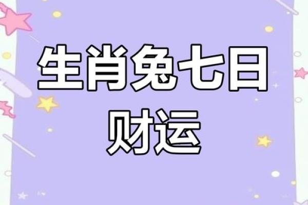 兔人每月运势解析:好运与挑战并存 兔人每月运势解析:好运与挑战并存