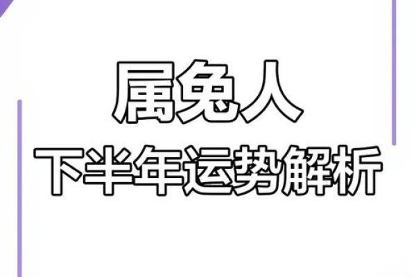 兔人每月运势解析:好运与挑战并存 兔人每月运势解析:好运与挑战并存