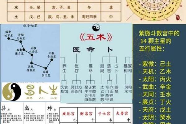 彬字五行属性解析及其命理影响 彬字五行属性解析及其命理影响