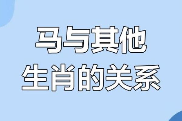 属马和属龙是否是最佳搭档 属马和属龙是否是最佳搭档