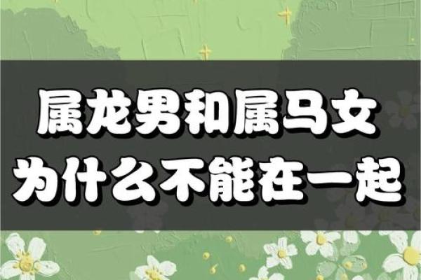 属马和属龙是否是最佳搭档 属马和属龙是否是最佳搭档