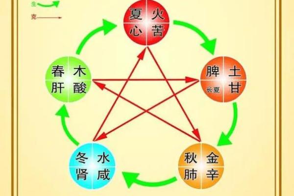 五行领域揭秘:如何利用五行提升生活质量? 五行领域揭秘:如何利用五行提升生活质量?