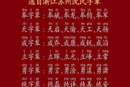 姓杨的鸡宝宝名字大全：寓意与选名灵感