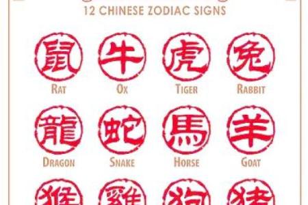 十二生肖运势走向：适合做的决策与行动