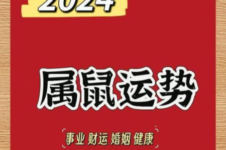为属鼠宝宝起个响亮的名字，助力未来运势