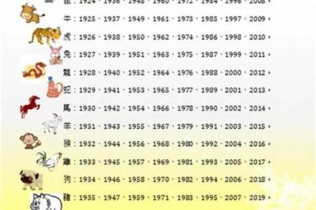 十二生肖事业与感情运势全方位分析