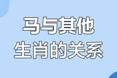 属马和属龙是否是最佳搭档