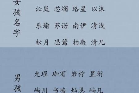 柴字宝宝名字推荐 打造独特有寓意的姓名选择