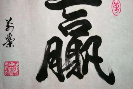 赢字为核心的公司命名创意与灵感分享