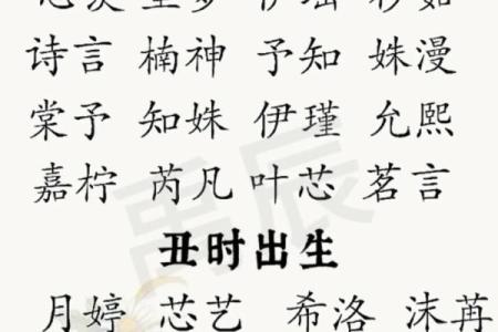 如何利用免费起名工具为宝宝选择幸运名字