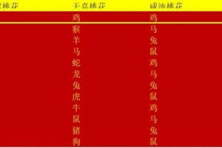 生肖猴子配对指南：最匹配的属相有哪些