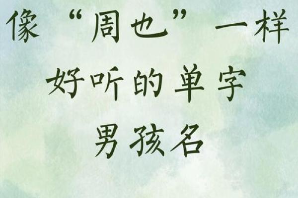 衍字在男孩名字中的独特寓意与选择推荐