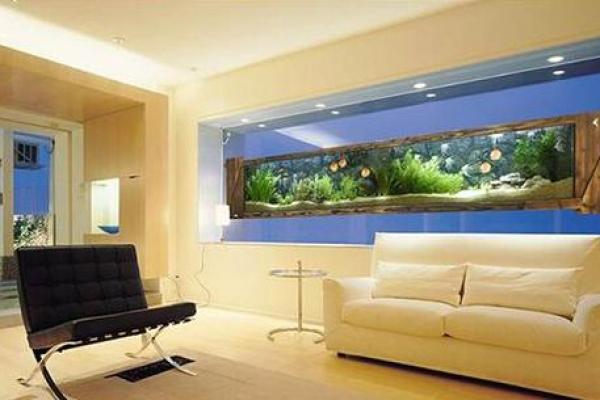上海办公室鱼缸风水摆放误区与破解 上海办公室鱼缸风水摆放误区与破解