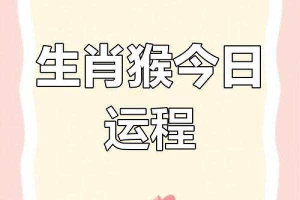 属猴运势全解析:运程起伏与应对策略 属猴运势全解析:运程起伏与应对策略