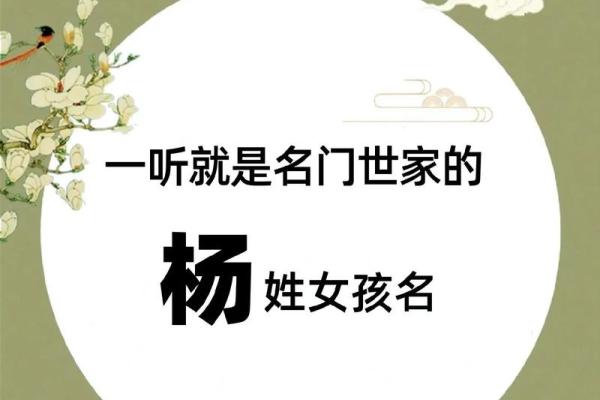 如何为杨姓男孩起一个有意义的名字 如何为杨姓男孩起一个有意义的名字